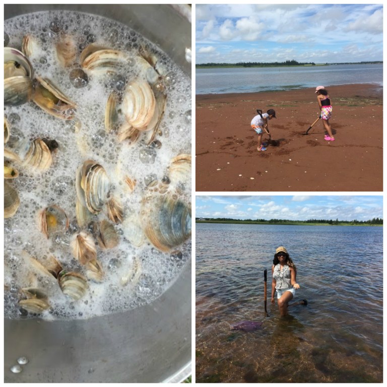 collage of clam digging pictures