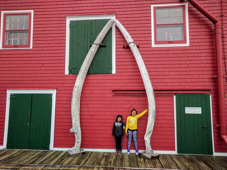 A1FB8770-689E-4FF6-B1FB-3F0A377BA862